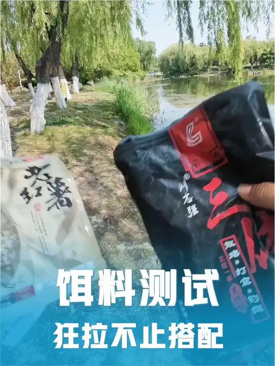 野钓鲤鱼饵料搭配谁好用？老六分享狂拉不止的搭配！一晚上钓八条！刘志强三体+全能腥测试结果让