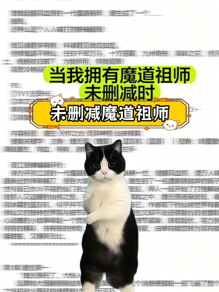 魔道祖师未删减版全体验