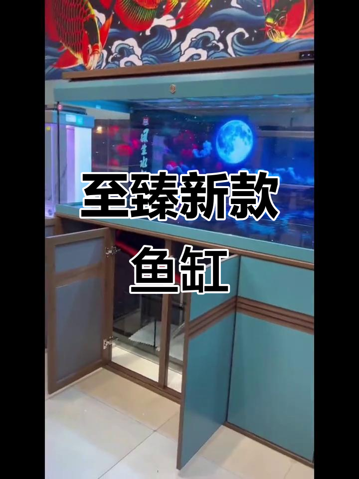 森森至臻新款鱼缸，精致设计让你眼前一亮