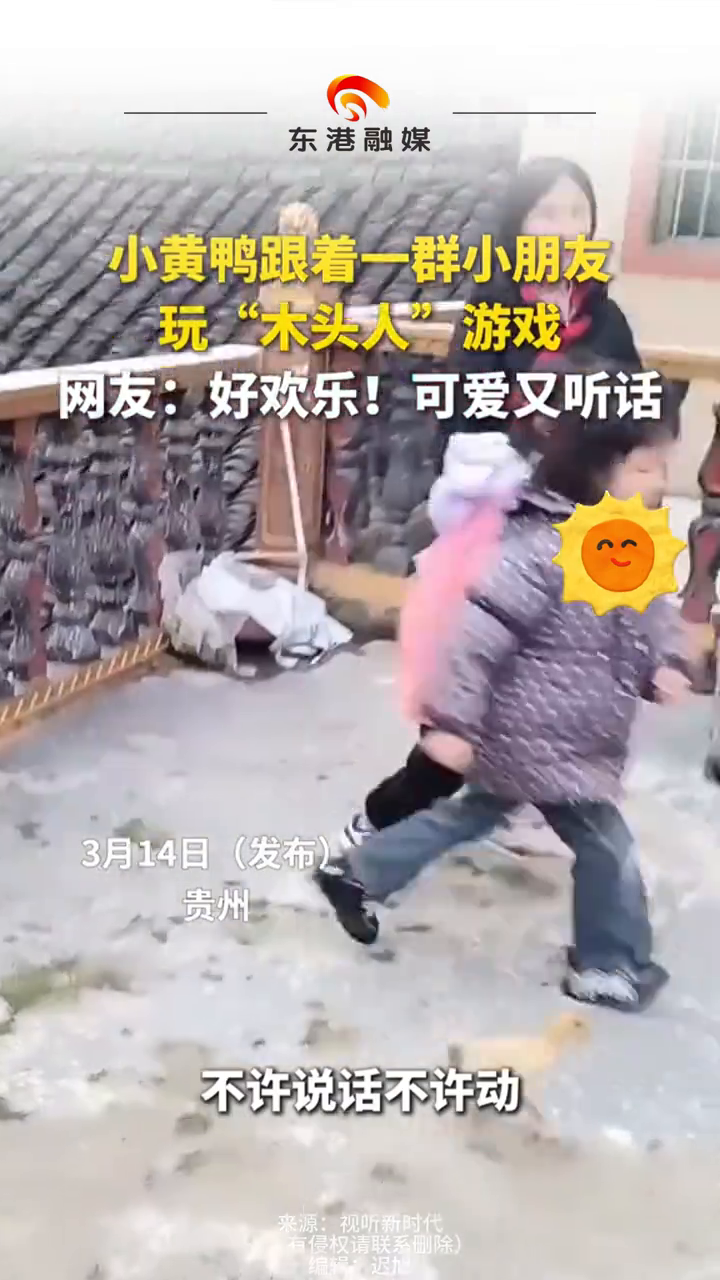 小黄鸭跟着一群小朋友玩“木头人”游戏