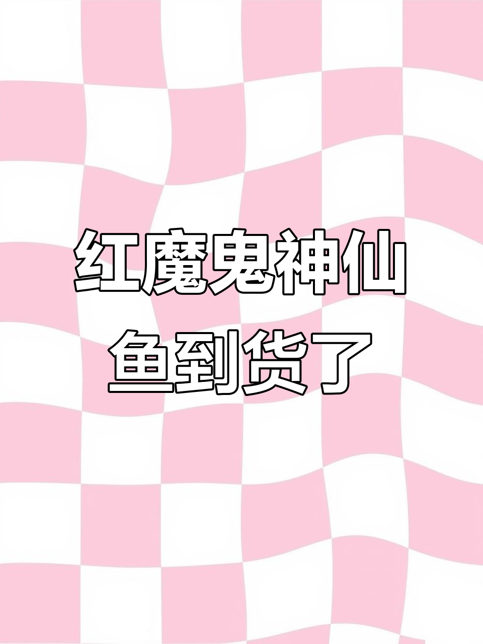 新买的红魔鬼神仙鱼,竟然和图片差距这么大!