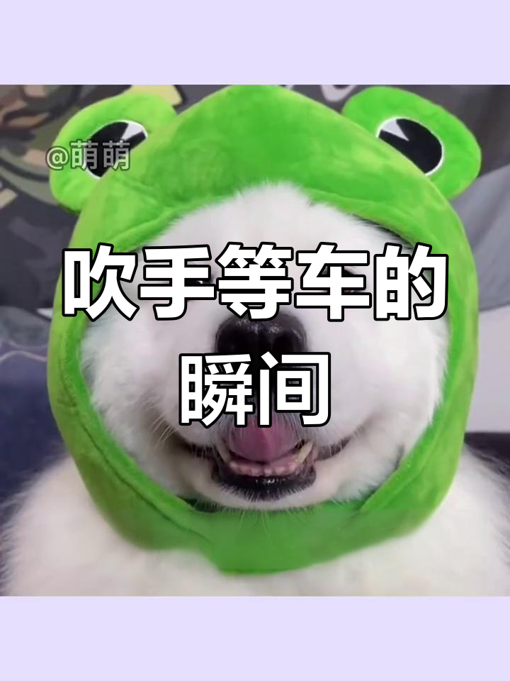 等车时的趣味表情包