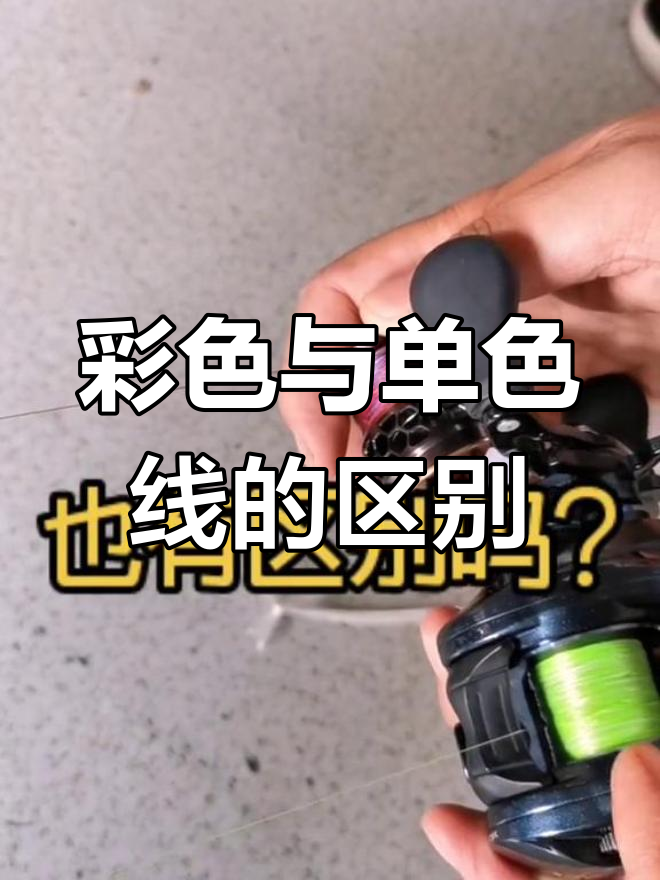 不同颜色鱼线性能差异大揭秘