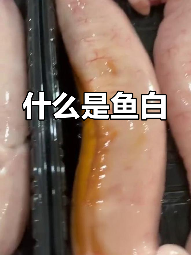 鱼白部位解析