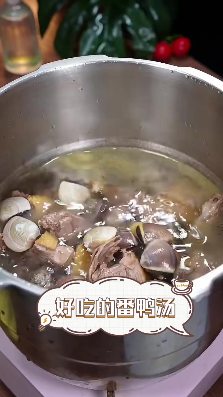 好吃的番鸭汤