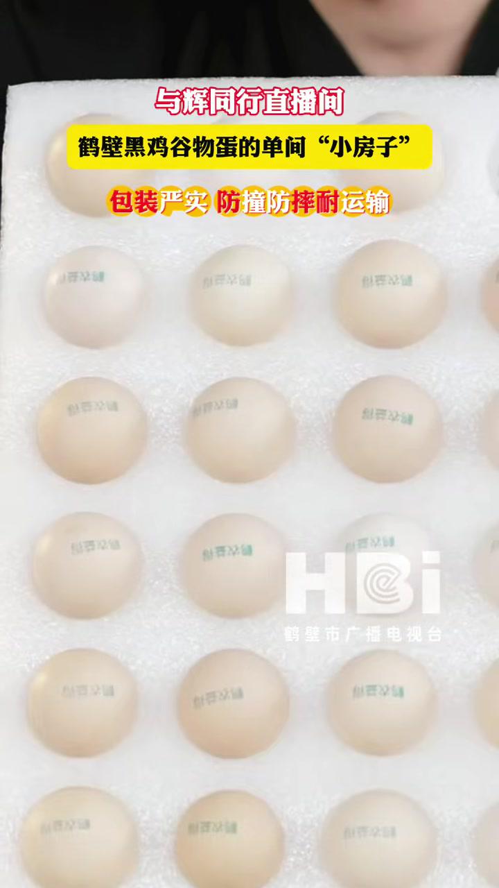 鹤壁黑鸡谷物蛋的单间“小房子”,防撞防摔耐运输 鹤壁 本地新闻 鹤壁融媒 与辉同行