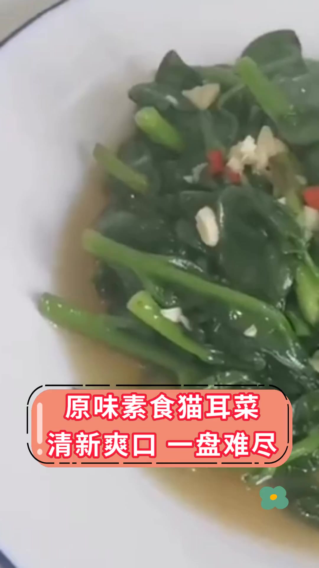 原味素食猫耳菜 清新爽口 一盘难尽