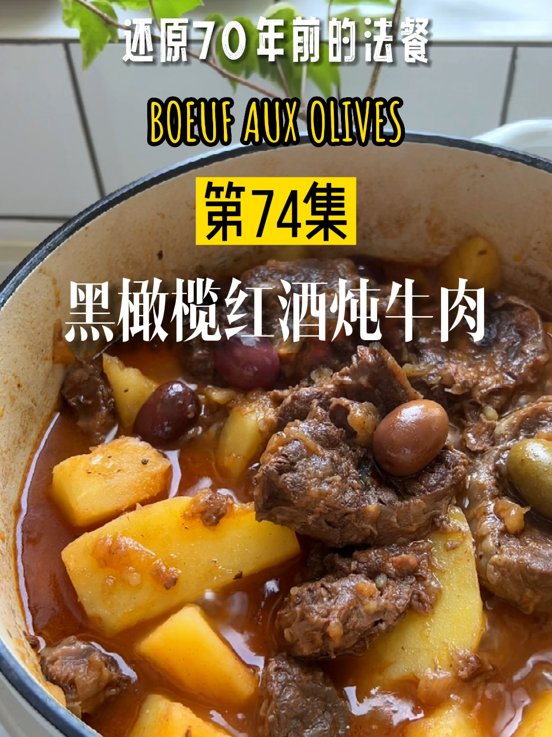 第七十四道菜:黑橄榄红酒炖牛肉