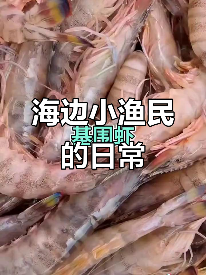 海边渔民的平凡生活,捕捞与日常的真实记录
