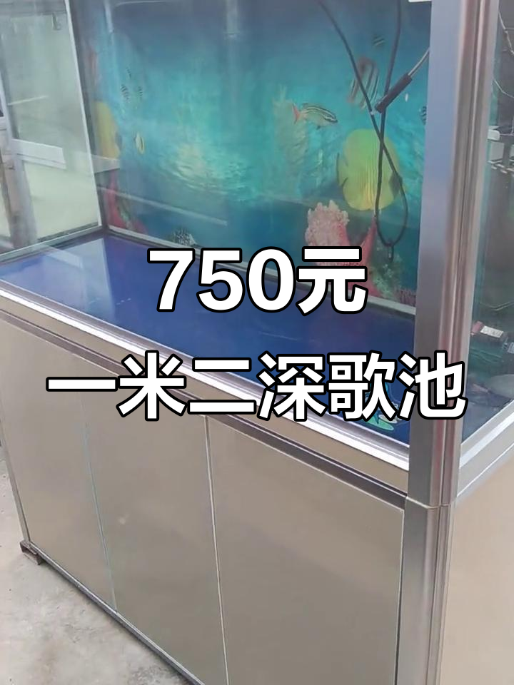 一米二森森格池底滤鱼缸,全套设备七百五超值特价