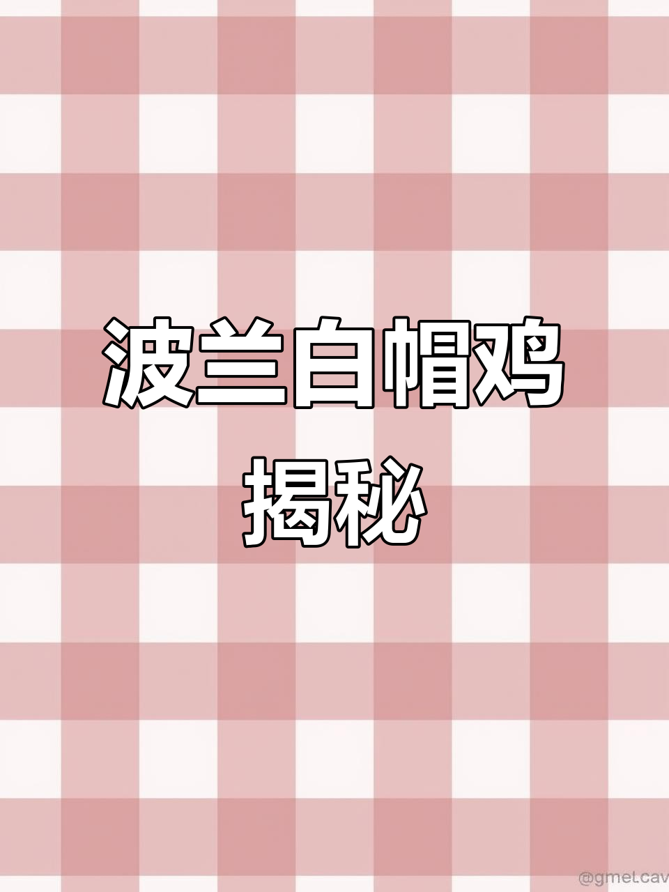 波兰帽子鸡:时尚中分头与背带裤的完美搭配