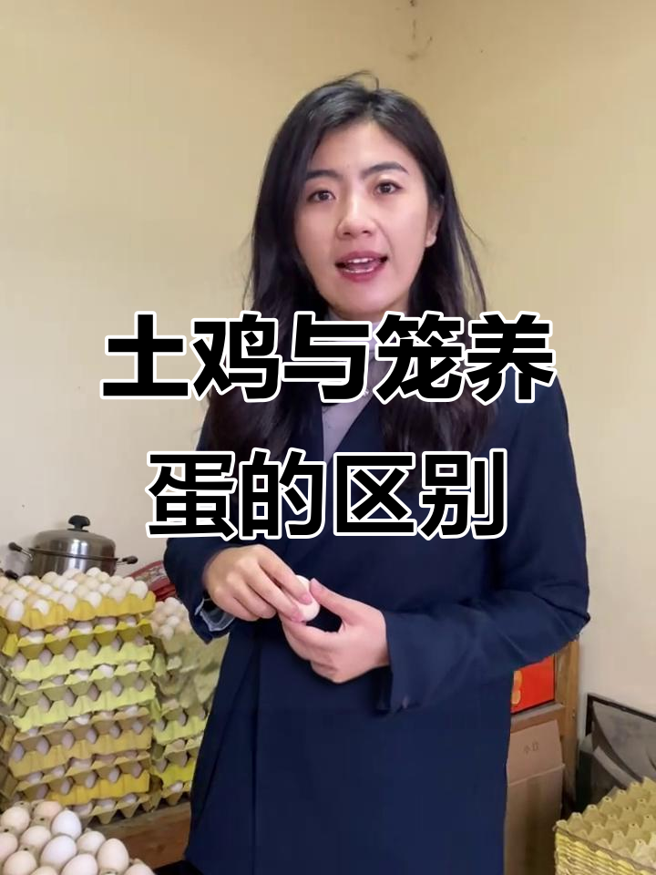 土鸡蛋和柴鸡蛋到底有啥不同?价格差异背后的真相