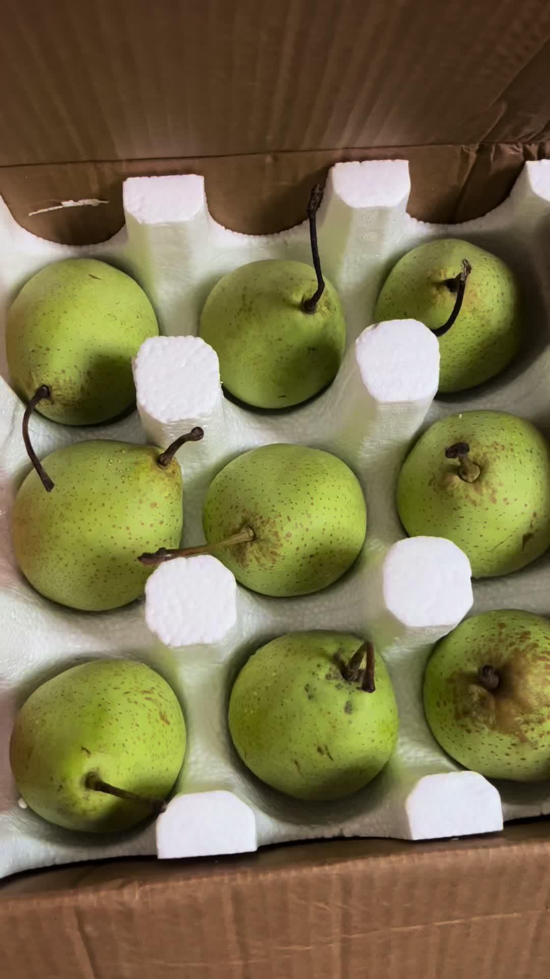 第一次尝试绿色鸭梨,脆甜可口 新鲜应季水果