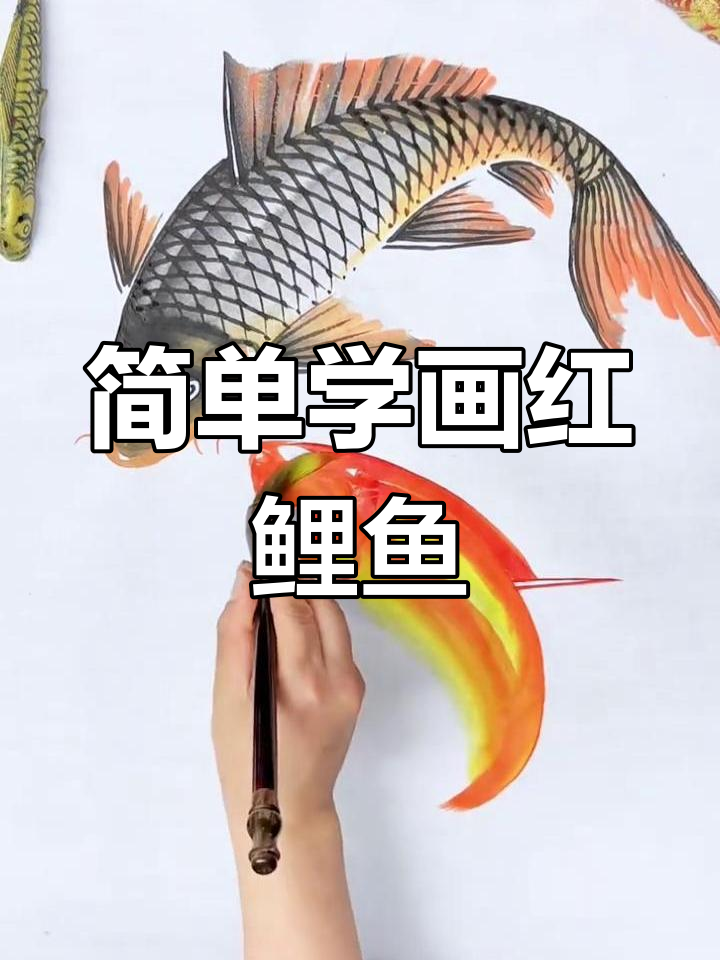 红鲤鱼画法教程,轻松学会