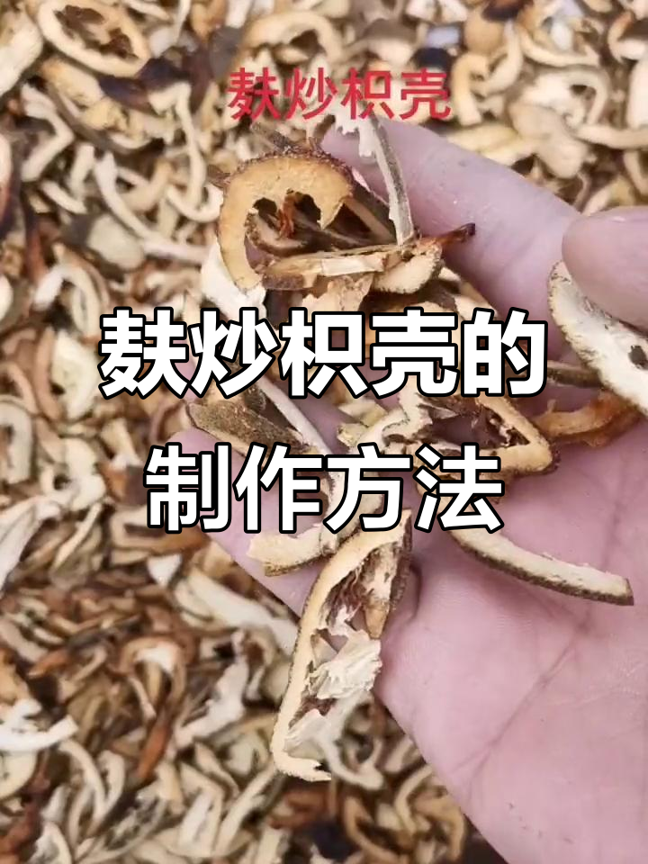 麸炒枳壳的独特工艺：南北药性差异与炮制技巧