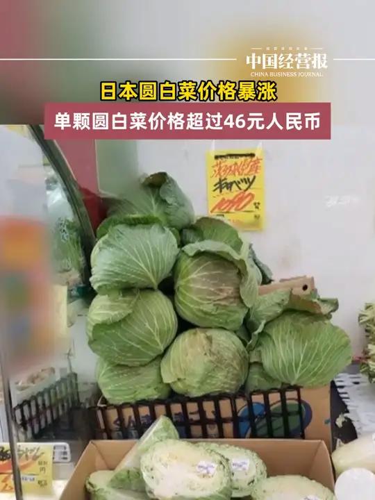 日本圆白菜价格暴涨!民众惊呼“比肉贵”