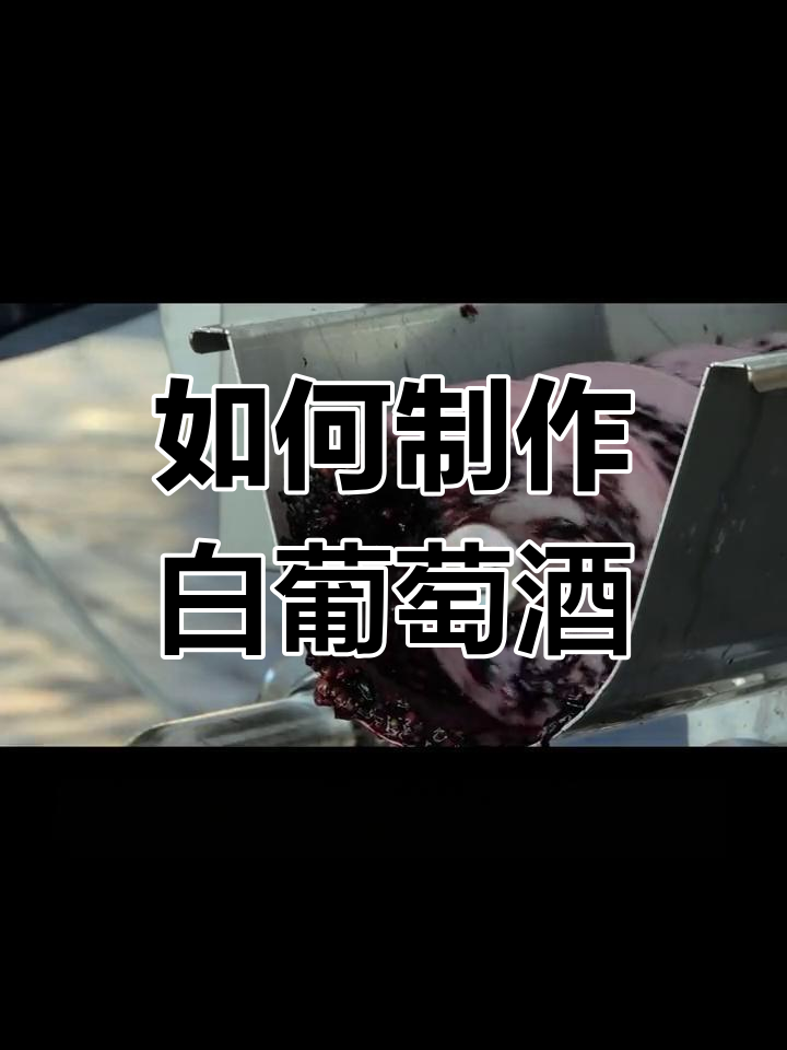 白葡萄酒的酿造工艺揭秘