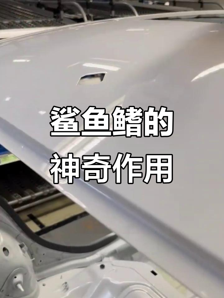 安装鲨鱼鳍能省油?原来还有这些功能!