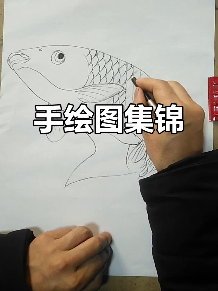 棋盘山里人精彩手绘,画面让人忍俊不禁