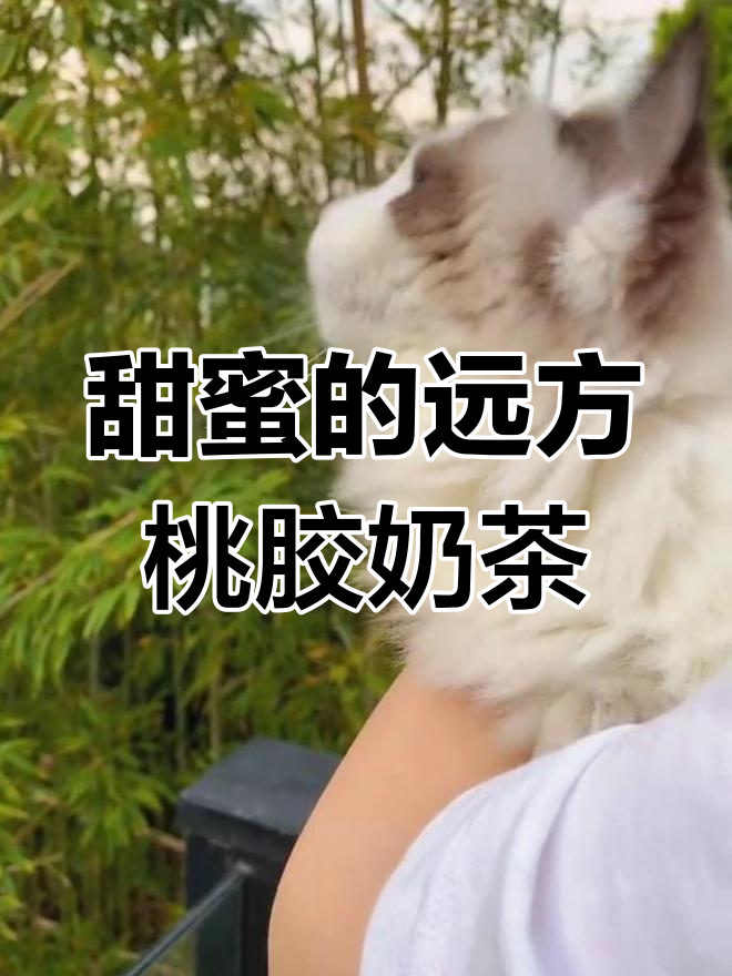 桃胶奶茶,带你远离烦恼,享受生活的甜与远方