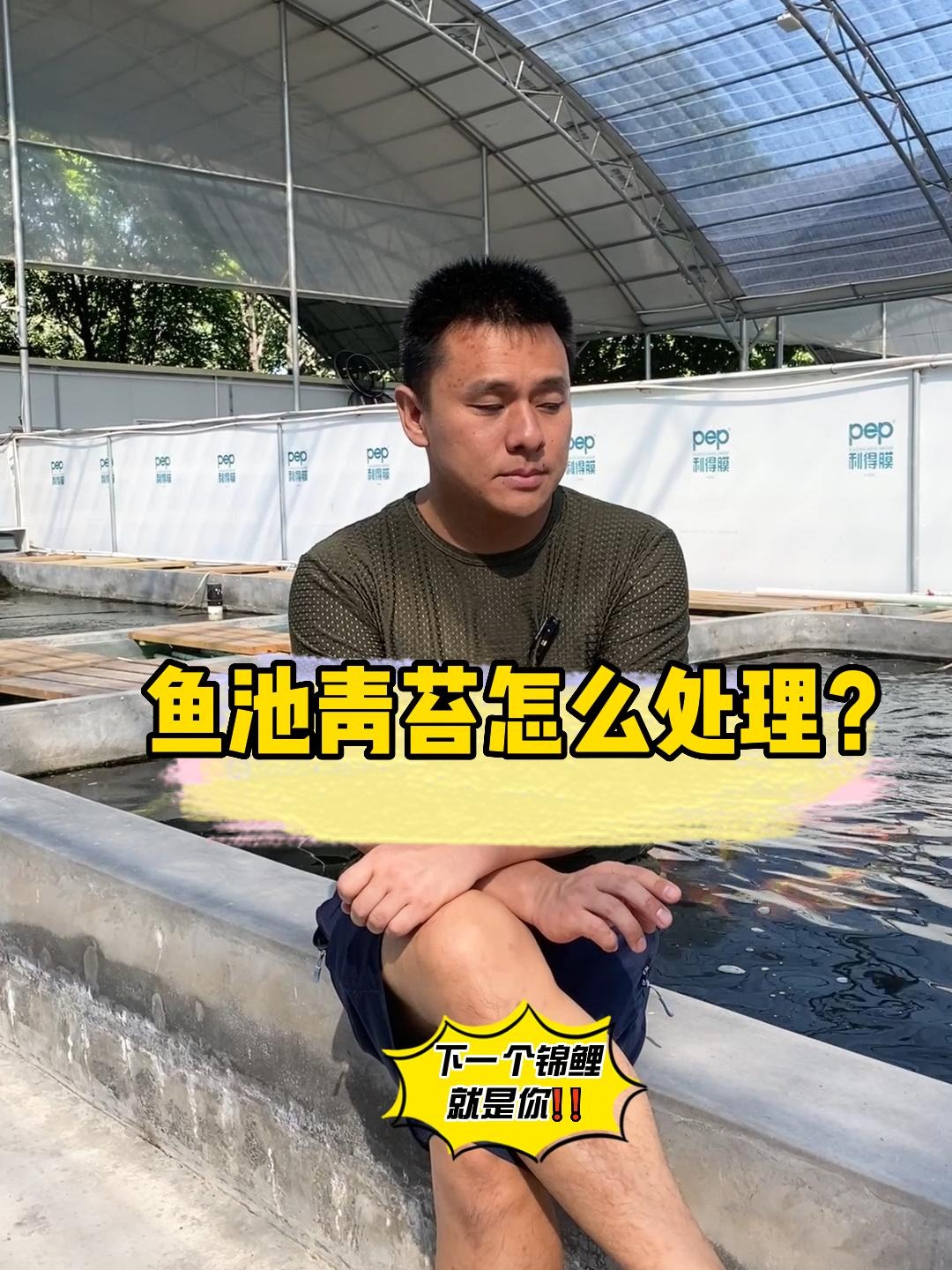 鱼池里的青苔要怎么处理?