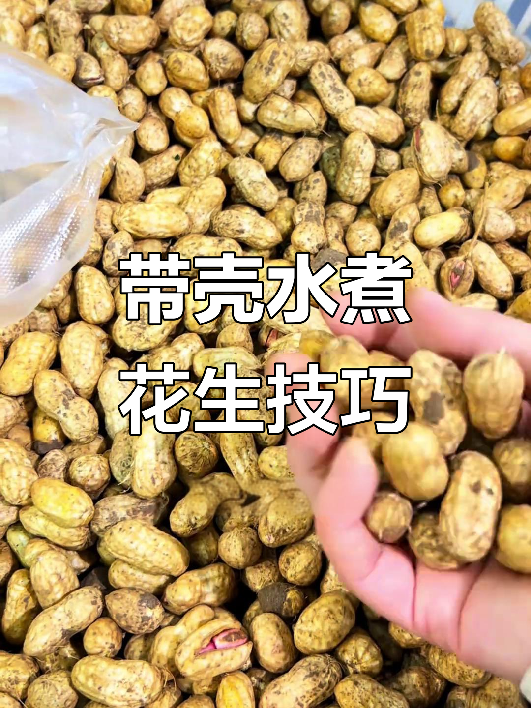 盐水花生做法大揭秘,轻松煮出美味带壳花生的秘诀