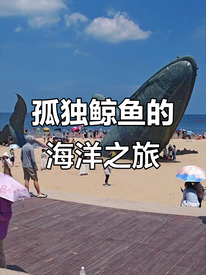 烟台孤独鲸鱼，为何独自游弋？它的未来让人担忧