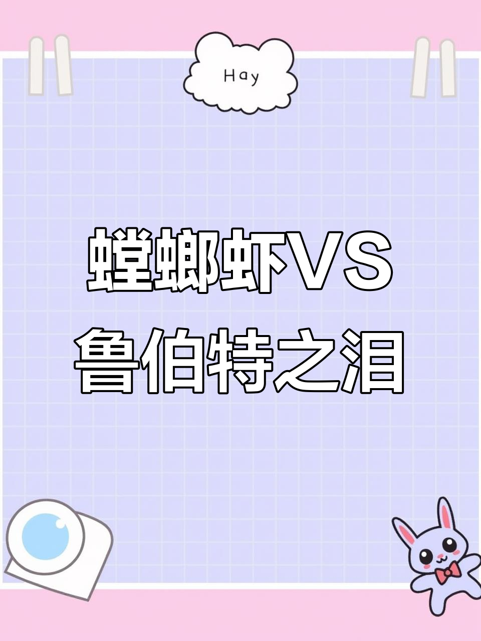 螳螂虾与伪装蟹的“锤子大战”,谁能笑到最后?