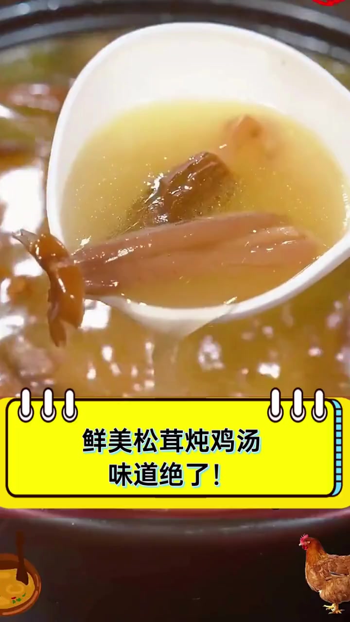 鲜美松茸炖鸡汤,味道绝了!