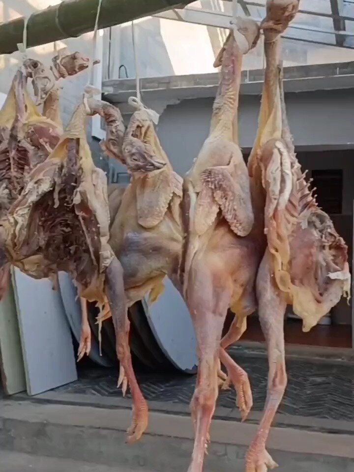 现在正是老家腌制腊鸡的季节你家的腊鸡腌了吗趁现在鸡便宜赶紧腌