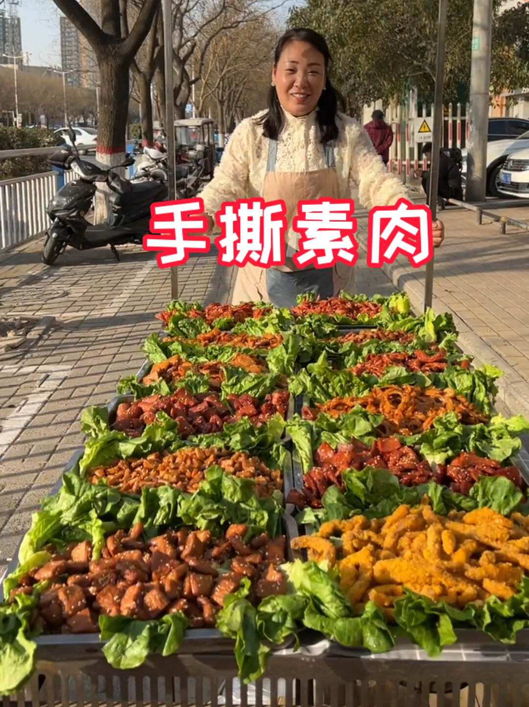 摆摊小吃手撕素肉做法教学随到随学