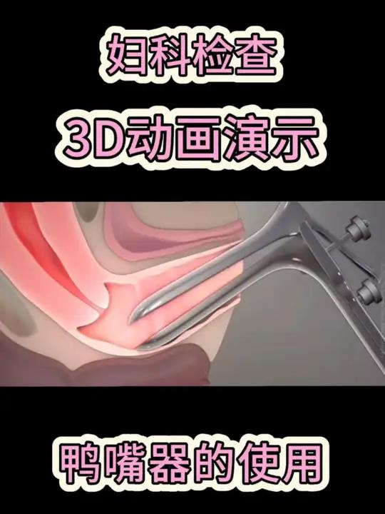 3D动画演示鸭嘴钳的使用
