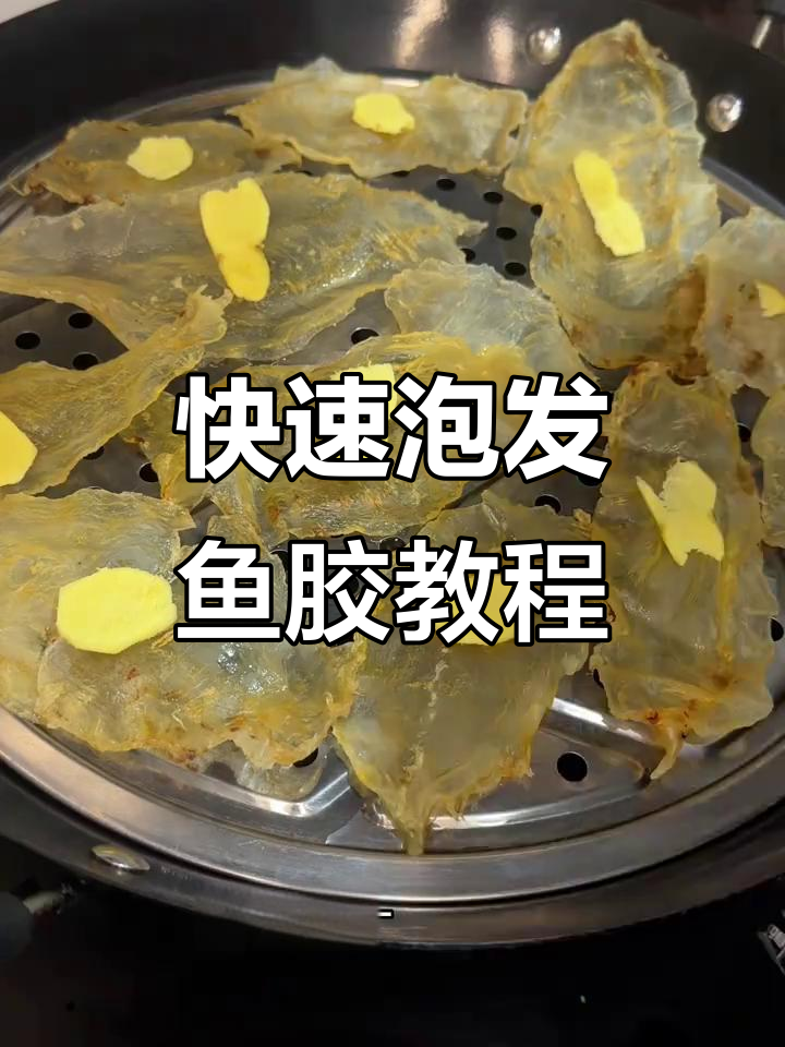 鱼胶泡发技巧大揭秘,轻松掌握新手必学方法