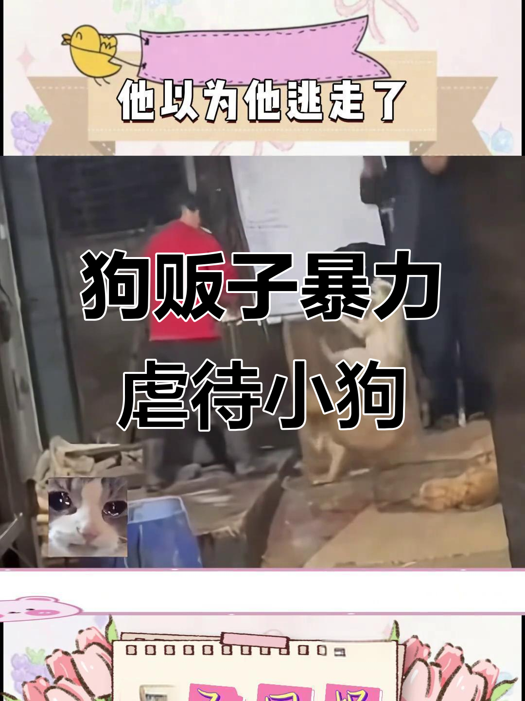 杭州萧山狗肉屠宰场曝光,狗狗惨叫连连被棍击致死