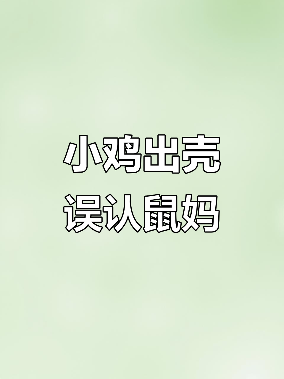 老鼠偷鸡蛋,结果被小鸡追喊妈妈!