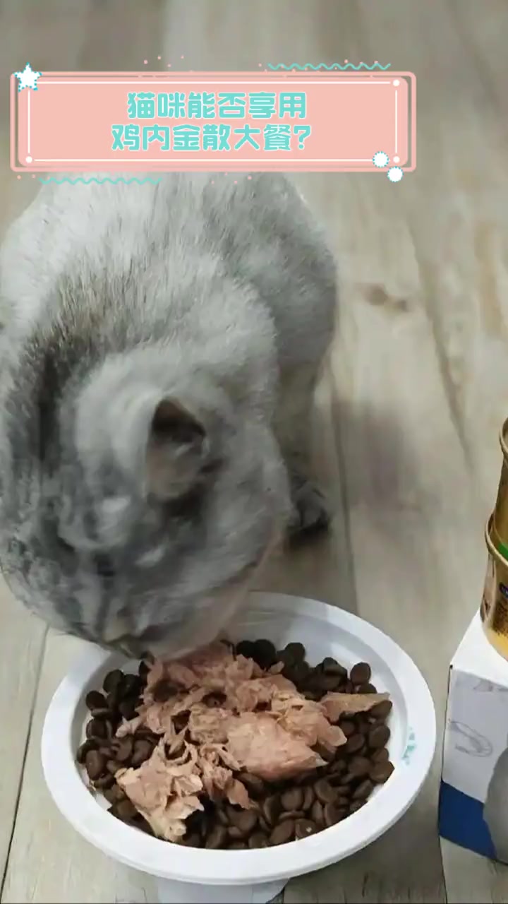 猫咪能否享用鸡内金散大餐?