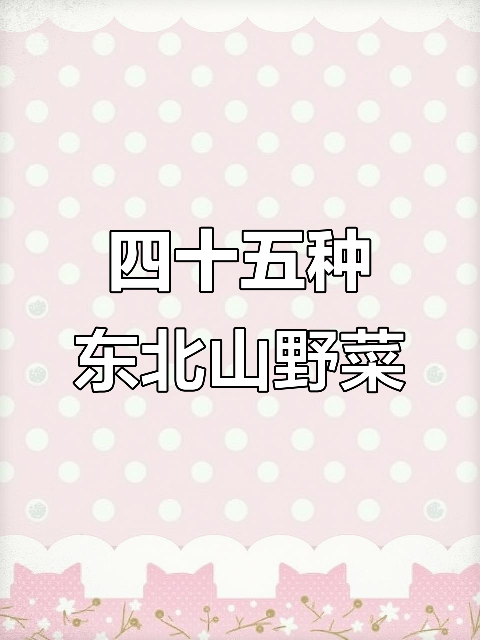 东北四十五种山野菜,药食同源的独特美味你尝过吗?