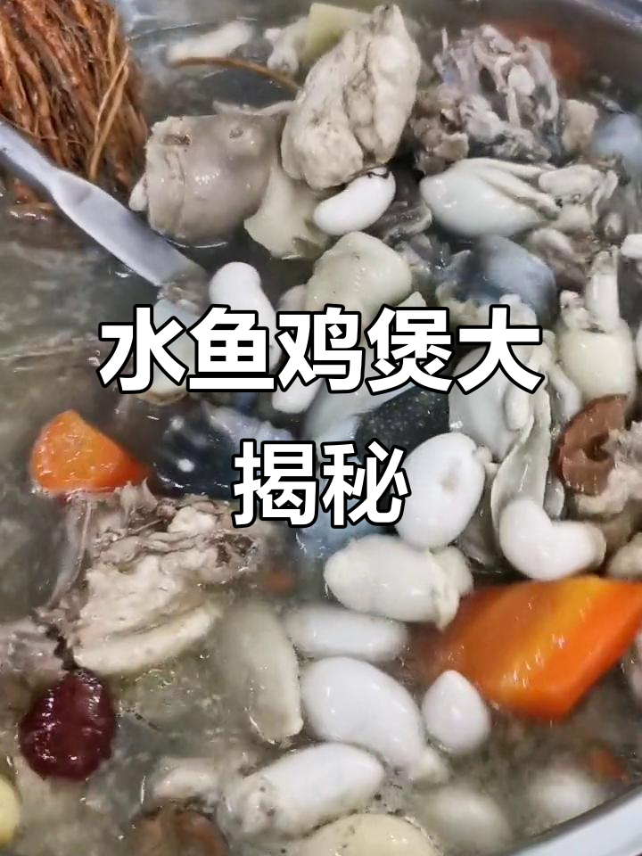 鸡子生蚝水鱼煲,鲜美无比!