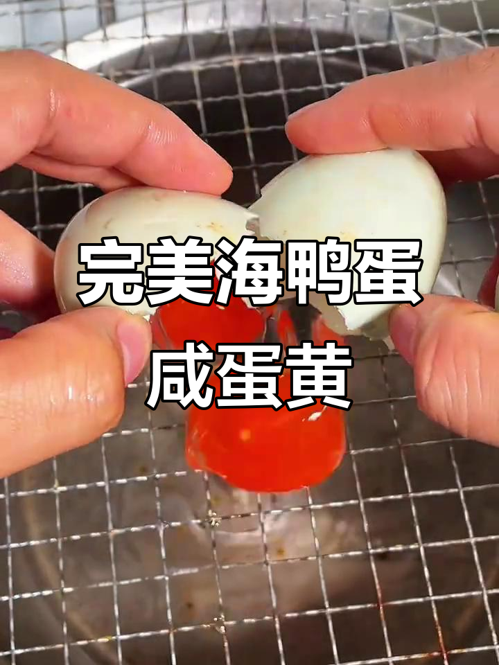 海鸭蛋咸蛋黄,细腻不齁,上班族早餐必备!