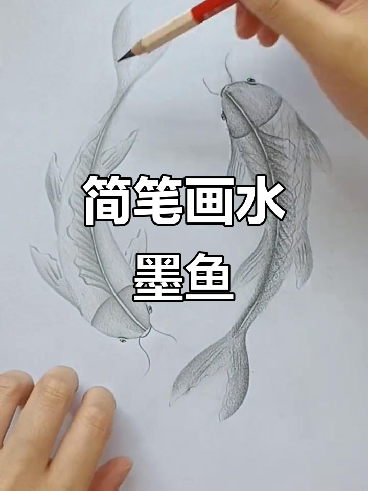 用炭笔轻松画可爱水墨鱼,简单又有趣