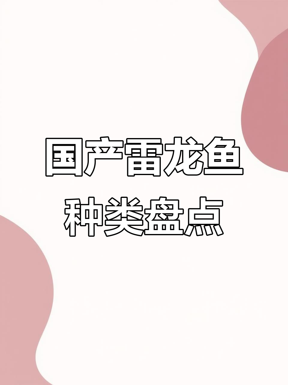 国产雷龙鱼品种大揭秘:酸菜、斑里与彩虹等全解析