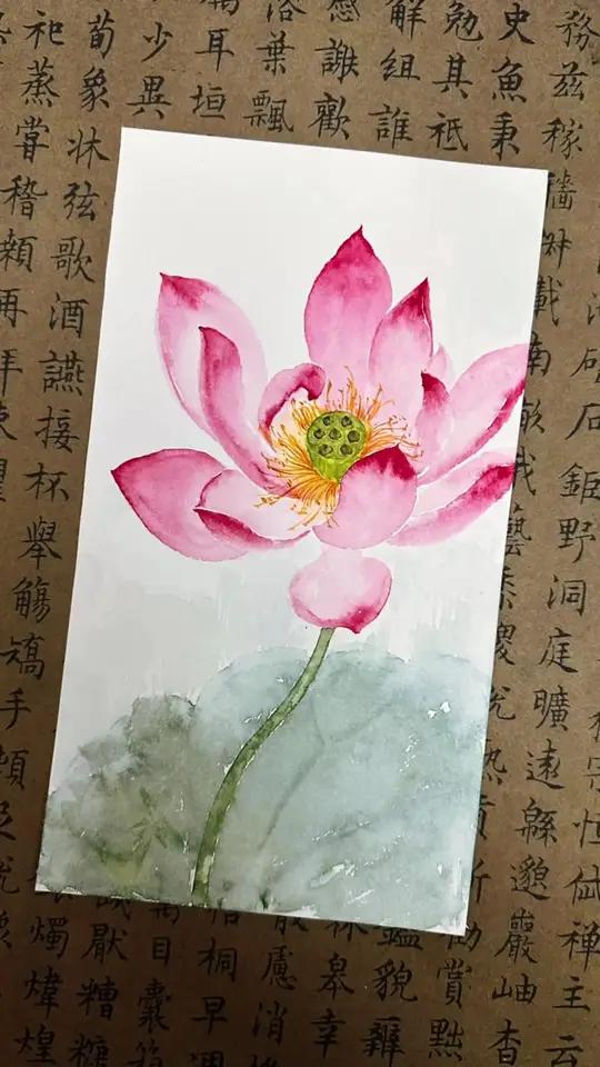 一看就会的国画荷花教程 快画起来吧