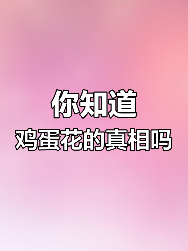 鸡蛋花和鸡蛋有什么关系?揭秘这种神奇植物的秘密