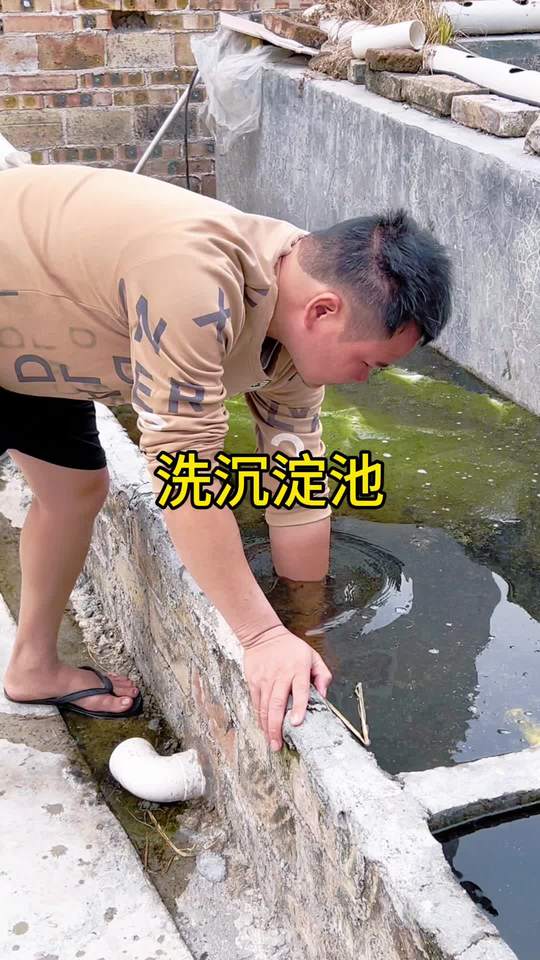 我的乡村生活，养鱼记录日常