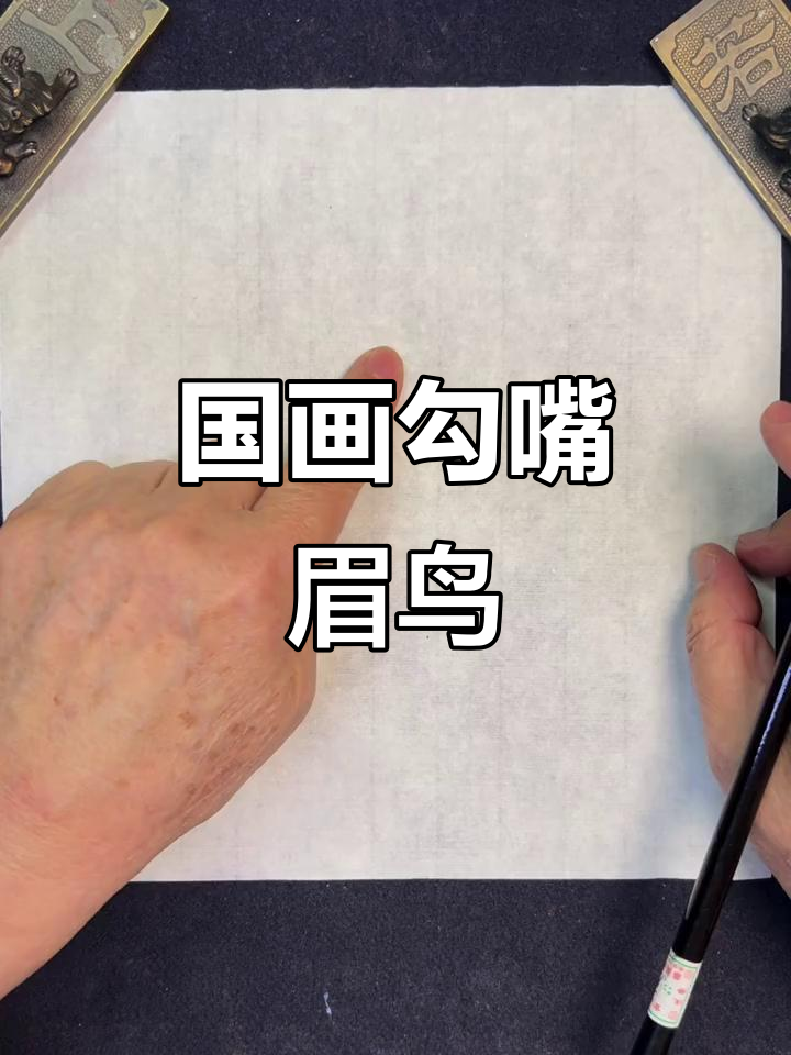 梅若国画大课堂：勾嘴眉鸟的绘制技巧