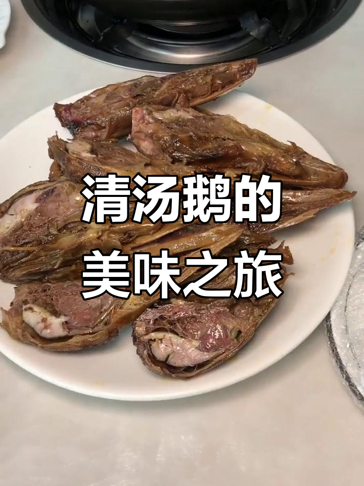 日常美味,清汤鹅肉鲜嫩,简单却让人回味无穷