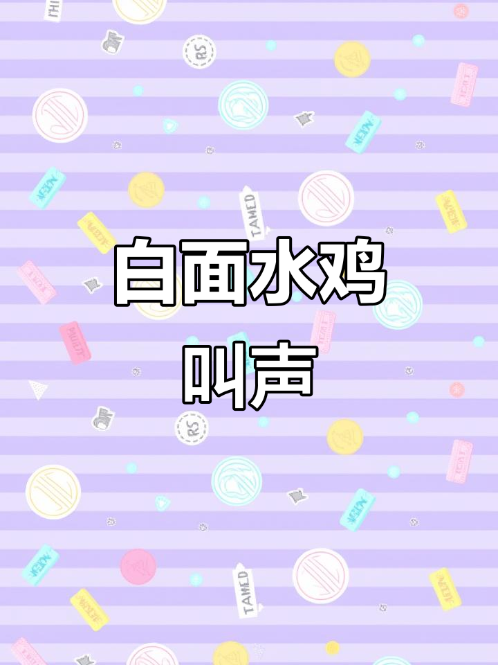 2025白面水鸡鸣叫,声音清脆悦耳