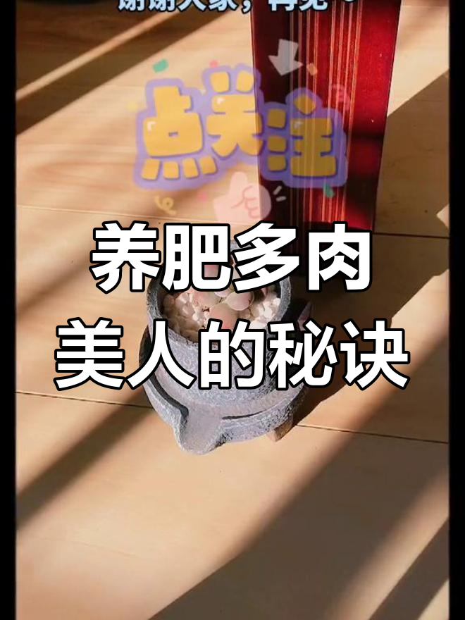 3招养好多肉美人,夏季养护小窍门