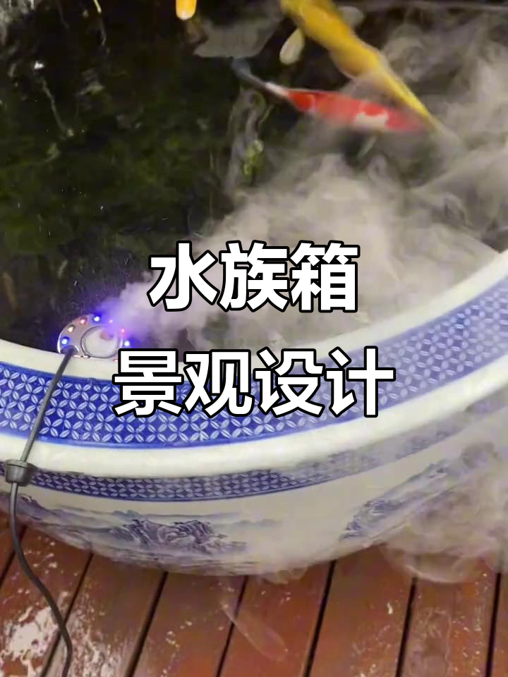 鱼缸造景与景观摆件搭配技巧,打造完美水族环境