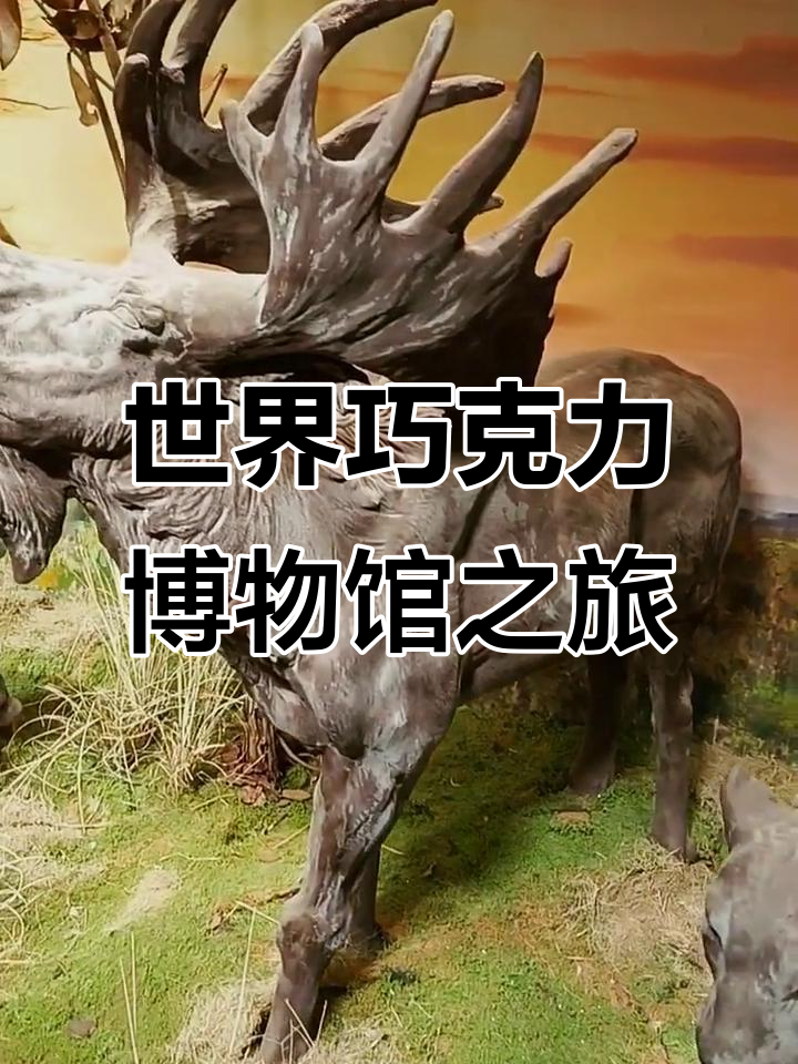 探秘巧克力博物馆,品味世界各地的甜美传奇